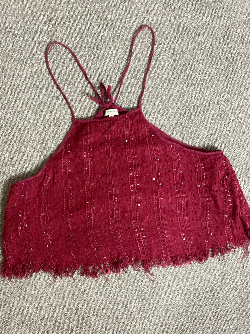 Earthbound Sparkling Red Fringe Boho Back Tie Crop Top- Summer Vacation Festival